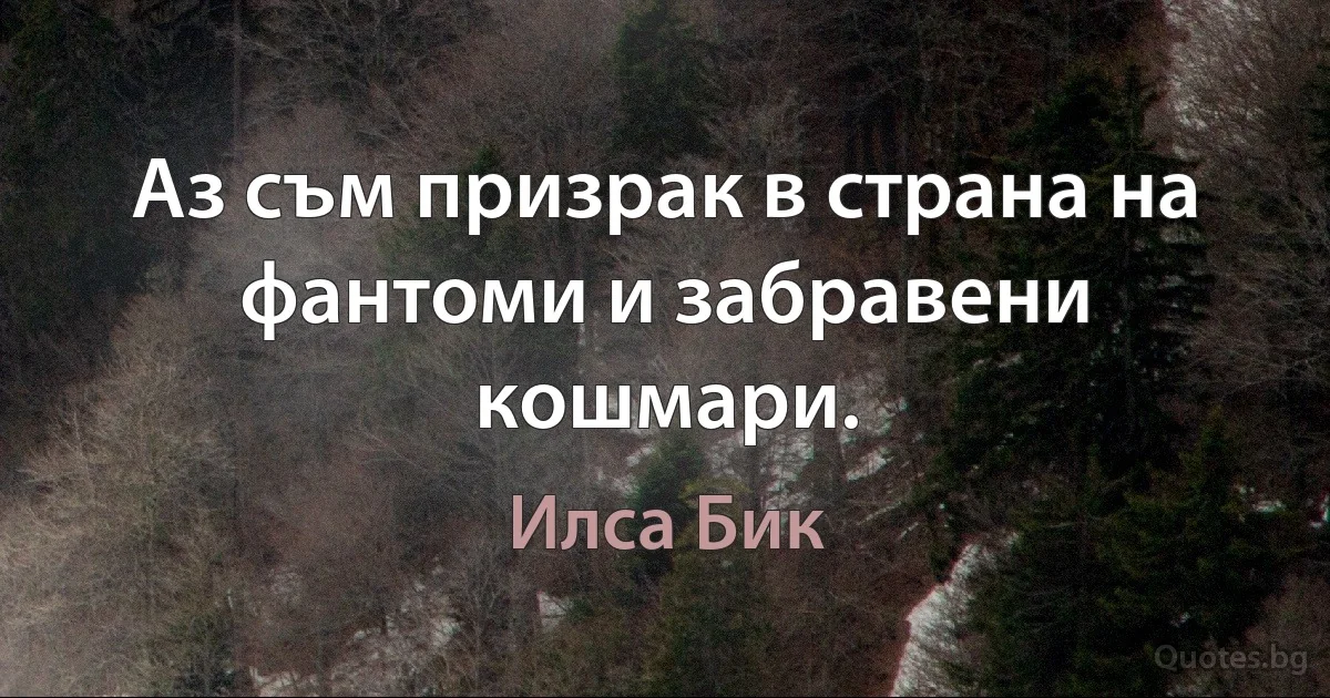 Аз съм призрак в страна на фантоми и забравени кошмари. (Илса Бик)