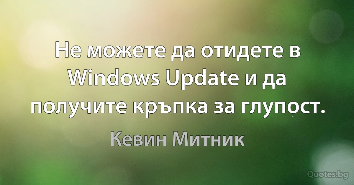 Не можете да отидете в Windows Update и да получите кръпка за глупост. (Кевин Митник)