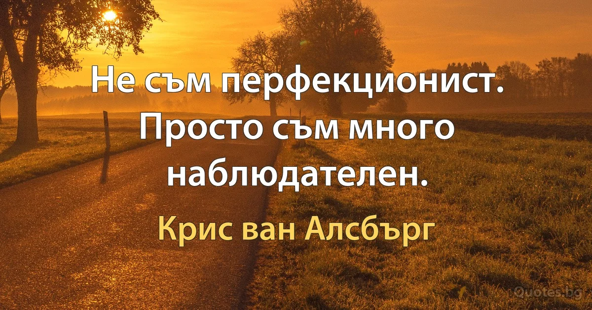 Не съм перфекционист. Просто съм много наблюдателен. (Крис ван Алсбърг)