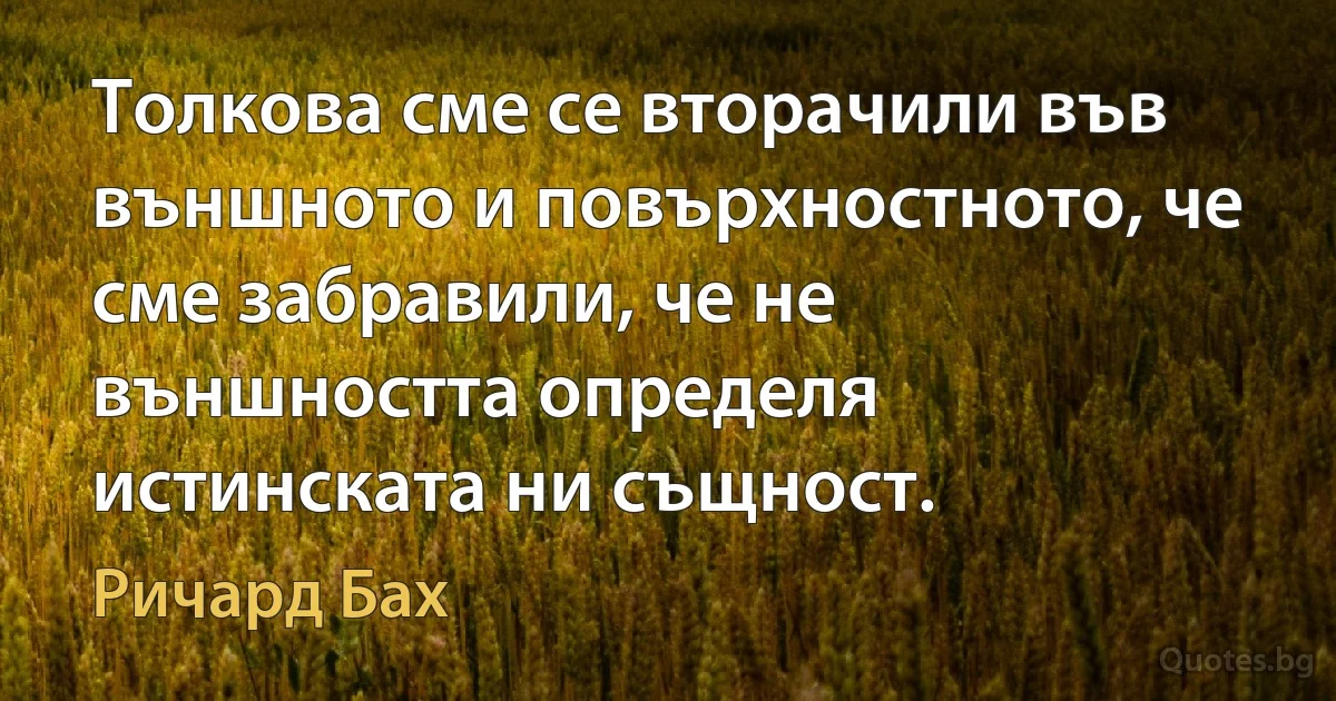 Толкова сме се вторачили във външното и повърхностното, че сме забравили, че не външността определя истинската ни същност. (Ричард Бах)