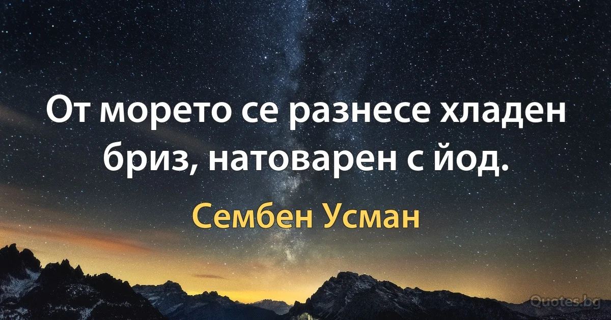 От морето се разнесе хладен бриз, натоварен с йод. (Сембен Усман)