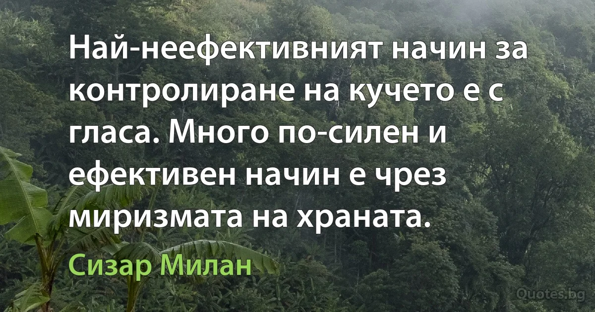 Най-неефективният начин за контролиране на кучето е с гласа. Много по-силен и ефективен начин е чрез миризмата на храната. (Сизар Милан)