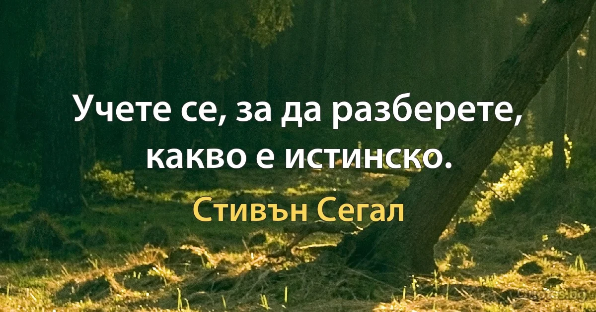 Учете се, за да разберете, какво е истинско. (Стивън Сегал)