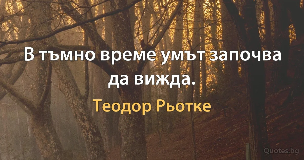 В тъмно време умът започва да вижда. (Теодор Рьотке)