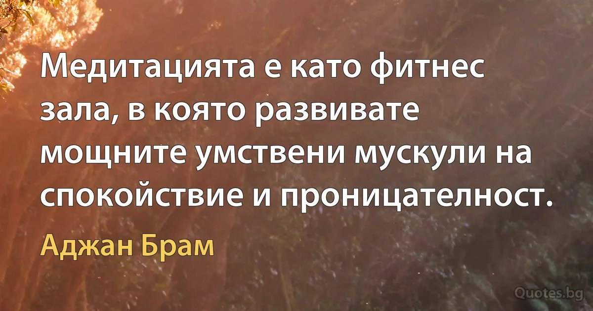 Медитацията е като фитнес зала, в която развивате мощните умствени мускули на спокойствие и проницателност. (Аджан Брам)