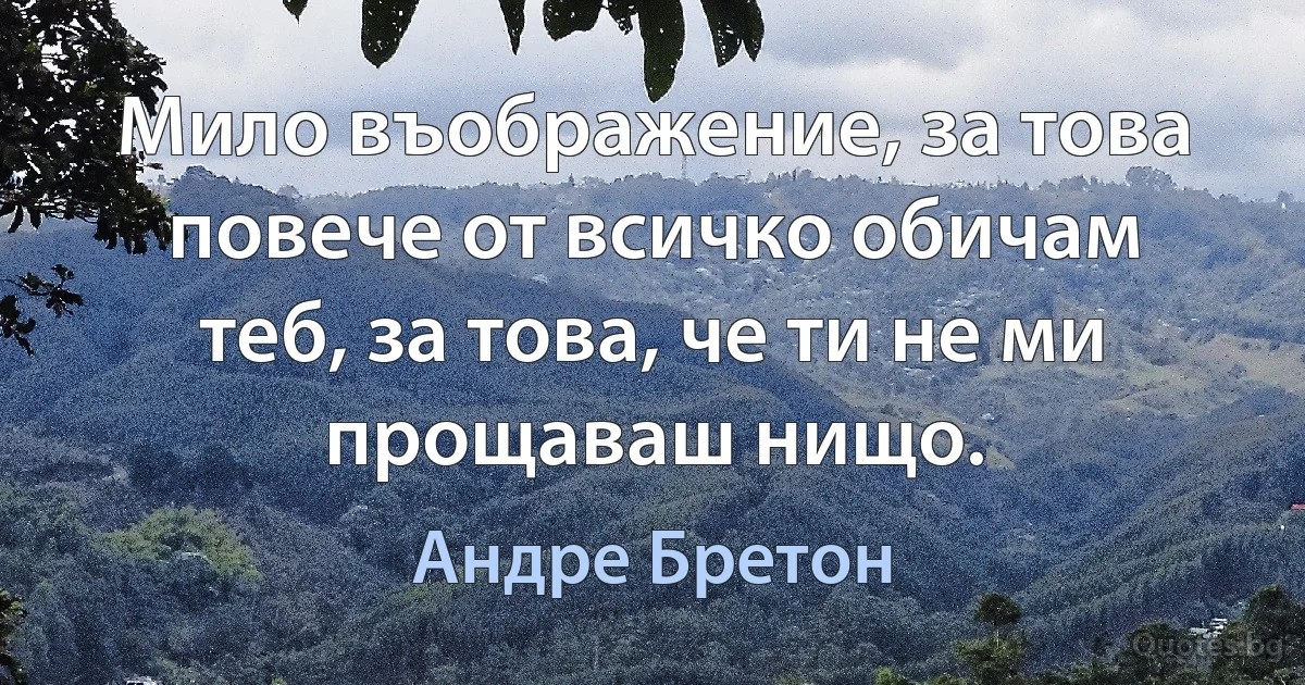 Мило въображение, за това повече от всичко обичам теб, за това, че ти не ми прощаваш нищо. (Андре Бретон)