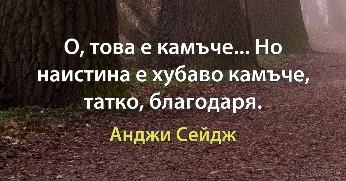 О, това е камъче... Но наистина е хубаво камъче, татко, благодаря. (Анджи Сейдж)