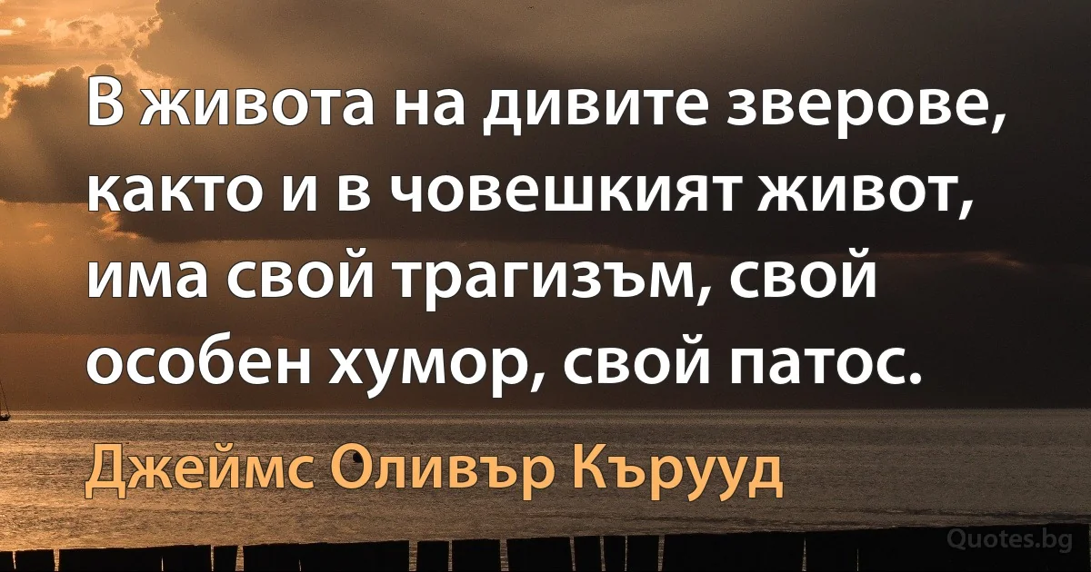 В живота на дивите зверове, както и в човешкият живот, има свой трагизъм, свой особен хумор, свой патос. (Джеймс Оливър Кърууд)