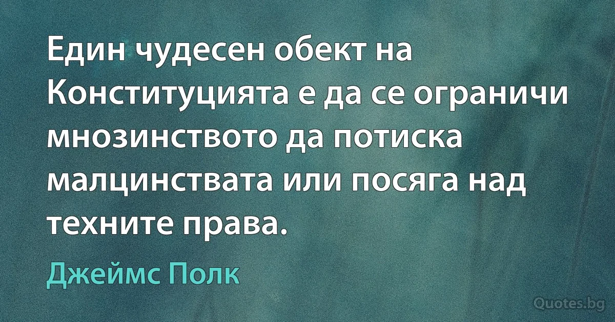 Един чудесен обект на Конституцията е да се ограничи мнозинството да потиска малцинствата или посяга над техните права. (Джеймс Полк)