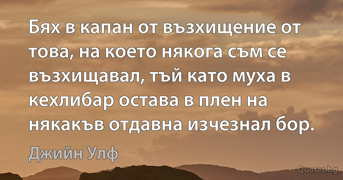 Бях в капан от възхищение от това, на което някога съм се възхищавал, тъй като муха в кехлибар остава в плен на някакъв отдавна изчезнал бор. (Джийн Улф)