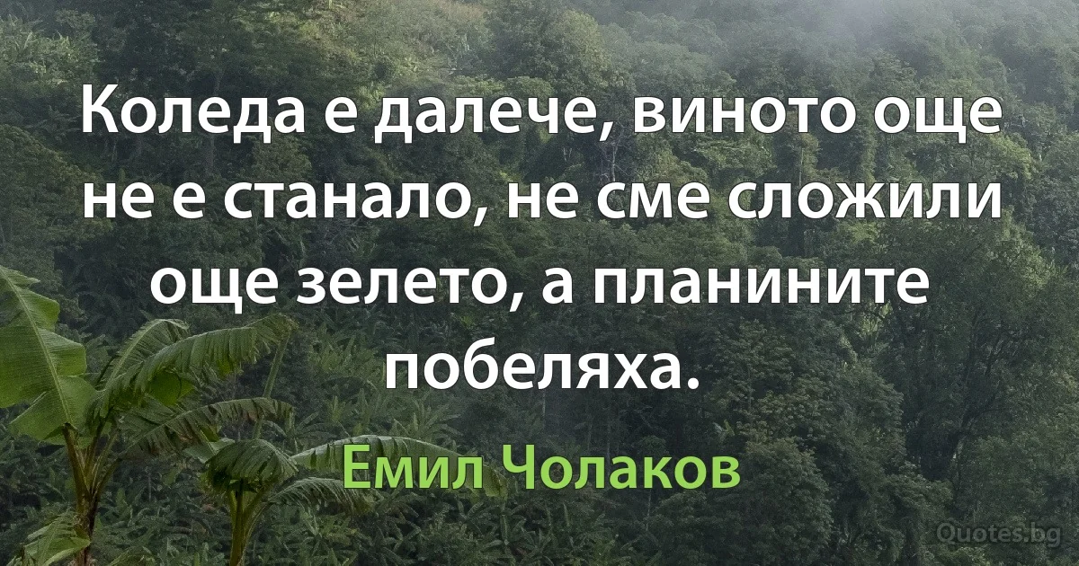 Коледа е далече, виното още не е станало, не сме сложили още зелето, а планините побеляха. (Емил Чолаков)