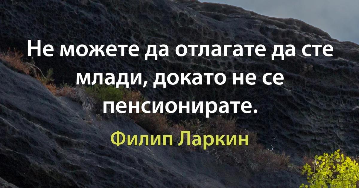 Не можете да отлагате да сте млади, докато не се пенсионирате. (Филип Ларкин)