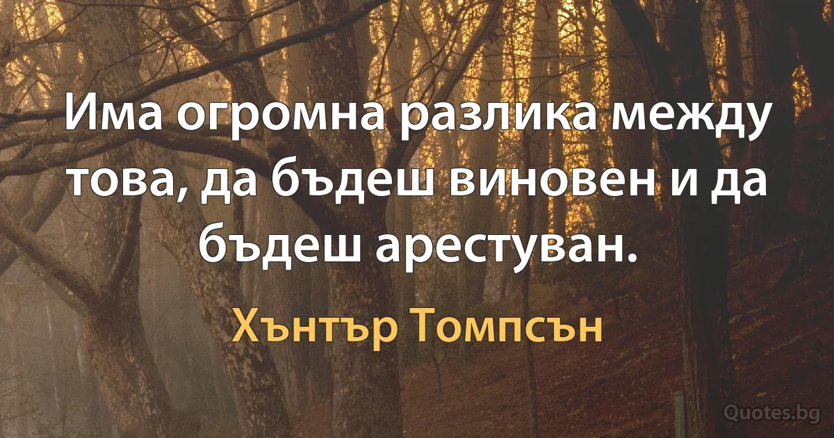 Има огромна разлика между това, да бъдеш виновен и да бъдеш арестуван. (Хънтър Томпсън)