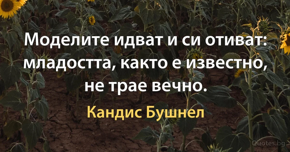 Моделите идват и си отиват: младостта, както е известно, не трае вечно. (Кандис Бушнел)