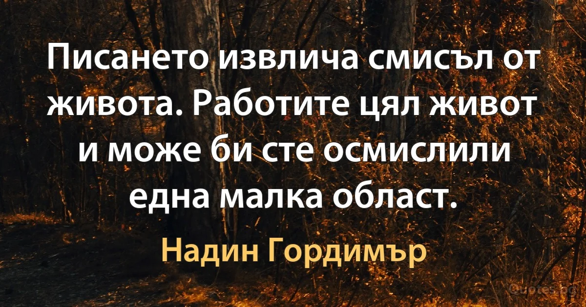 Писането извлича смисъл от живота. Работите цял живот и може би сте осмислили една малка област. (Надин Гордимър)