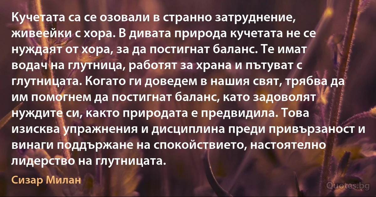 Кучетата са се озовали в странно затруднение, живеейки с хора. В дивата природа кучетата не се нуждаят от хора, за да постигнат баланс. Те имат водач на глутница, работят за храна и пътуват с глутницата. Когато ги доведем в нашия свят, трябва да им помогнем да постигнат баланс, като задоволят нуждите си, както природата е предвидила. Това изисква упражнения и дисциплина преди привързаност и винаги поддържане на спокойствието, настоятелно лидерство на глутницата. (Сизар Милан)