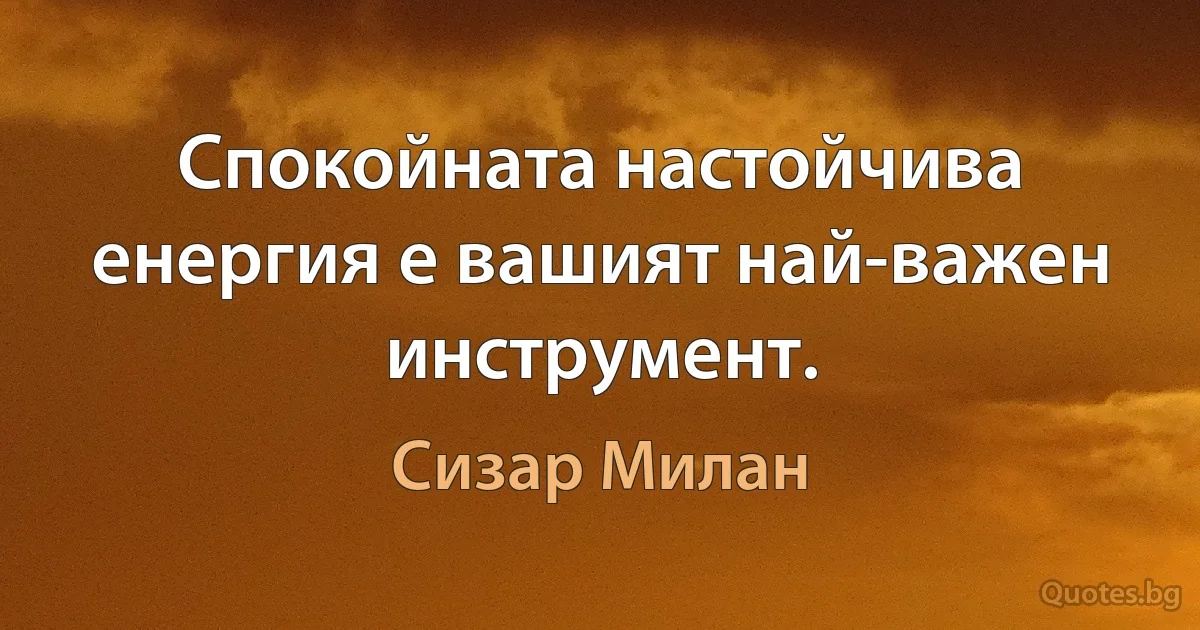 Спокойната настойчива енергия е вашият най-важен инструмент. (Сизар Милан)