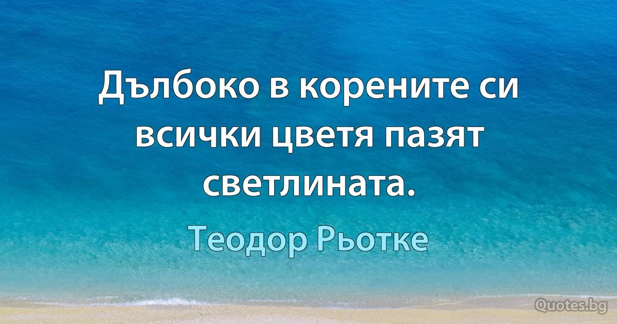 Дълбоко в корените си всички цветя пазят светлината. (Теодор Рьотке)