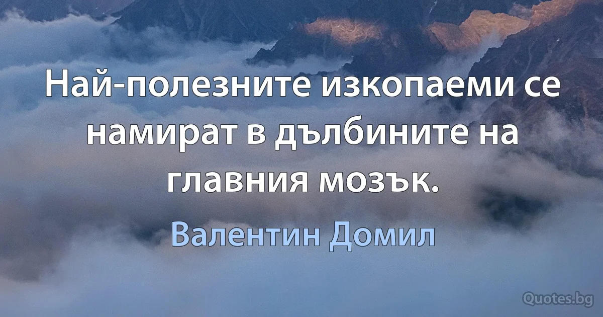 Най-полезните изкопаеми се намират в дълбините на главния мозък. (Валентин Домил)