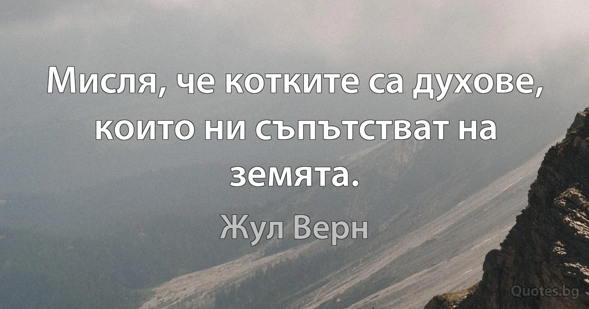 Мисля, че котките са духове, които ни съпътстват на земята. (Жул Верн)