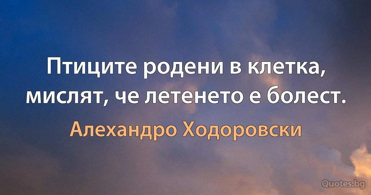 Птиците родени в клетка, мислят, че летенето е болест. (Алехандро Ходоровски)