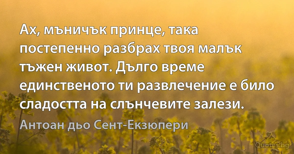 Ах, мъничък принце, така постепенно разбрах твоя малък тъжен живот. Дълго време единственото ти развлечение е било сладостта на слънчевите залези. (Антоан дьо Сент-Екзюпери)