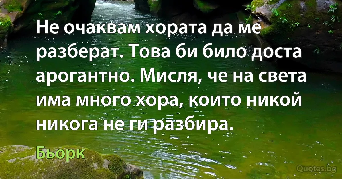 Не очаквам хората да ме разберат. Това би било доста арогантно. Мисля, че на света има много хора, които никой никога не ги разбира. (Бьорк)