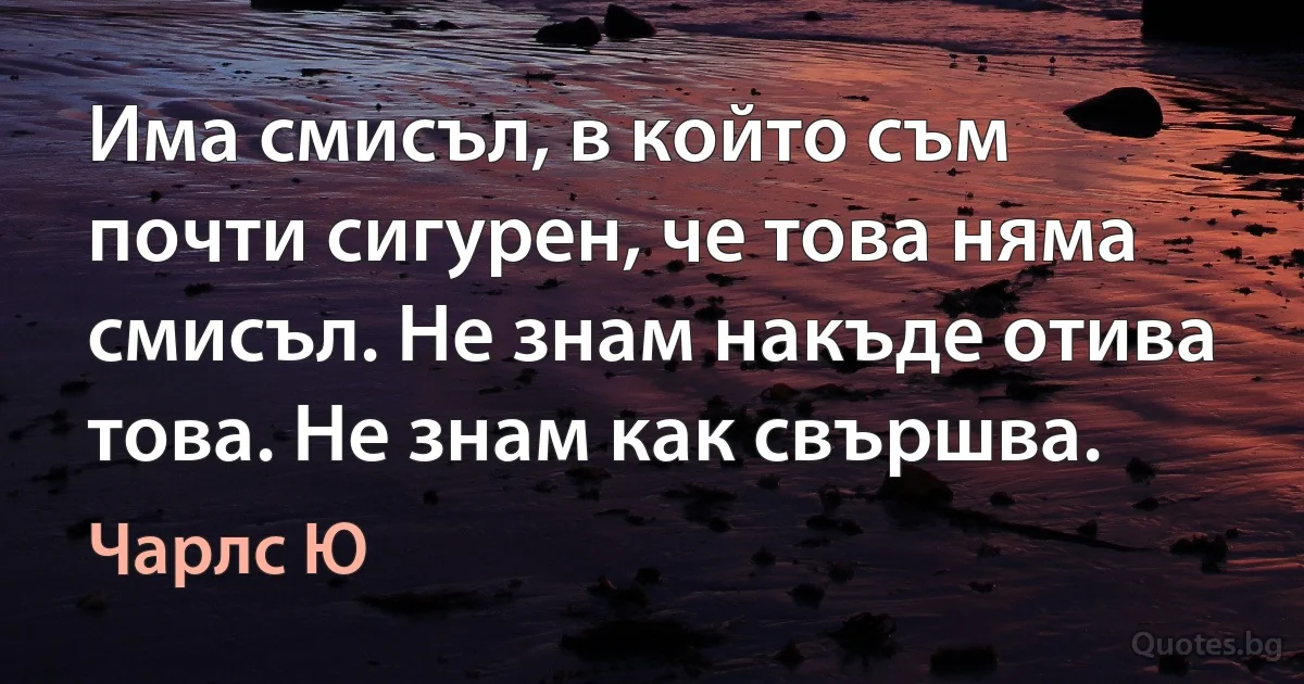 Има смисъл, в който съм почти сигурен, че това няма смисъл. Не знам накъде отива това. Не знам как свършва. (Чарлс Ю)