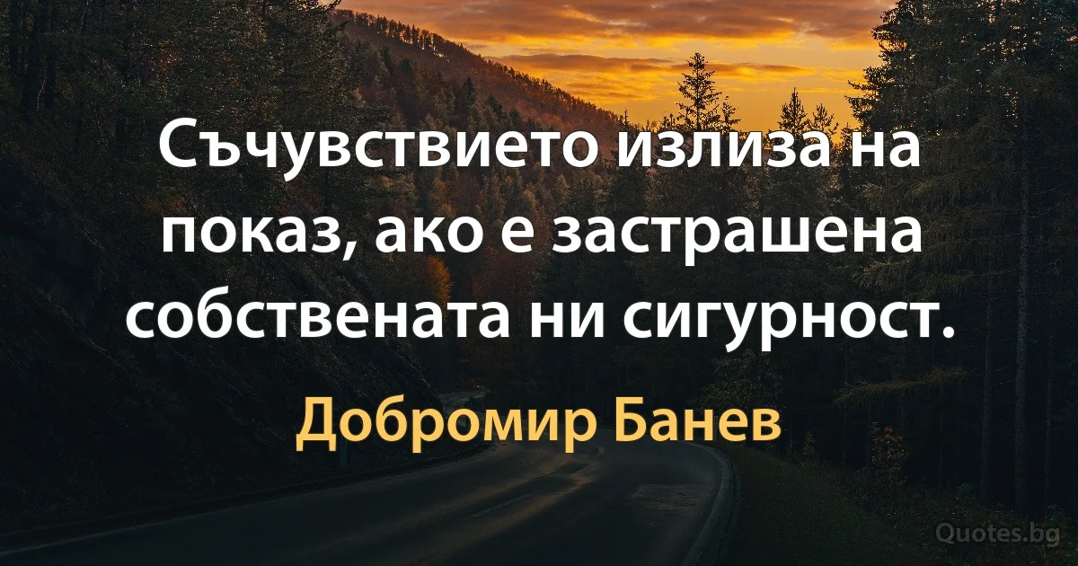 Съчувствието излиза на показ, ако е застрашена собствената ни сигурност. (Добромир Банев)