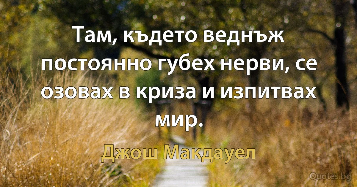 Там, където веднъж постоянно губех нерви, се озовах в криза и изпитвах мир. (Джош Макдауел)