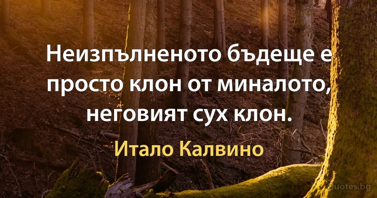 Неизпълненото бъдеще е просто клон от миналото, неговият сух клон. (Итало Калвино)