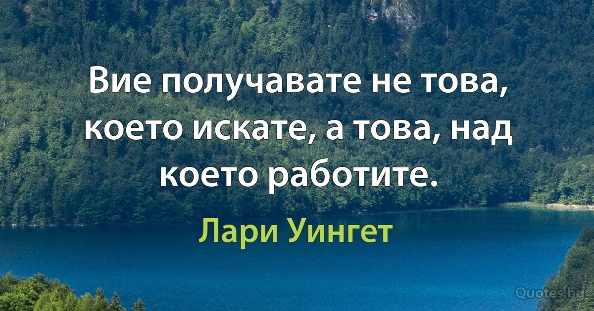 Вие получавате не това, което искате, а това, над което работите. (Лари Уингет)