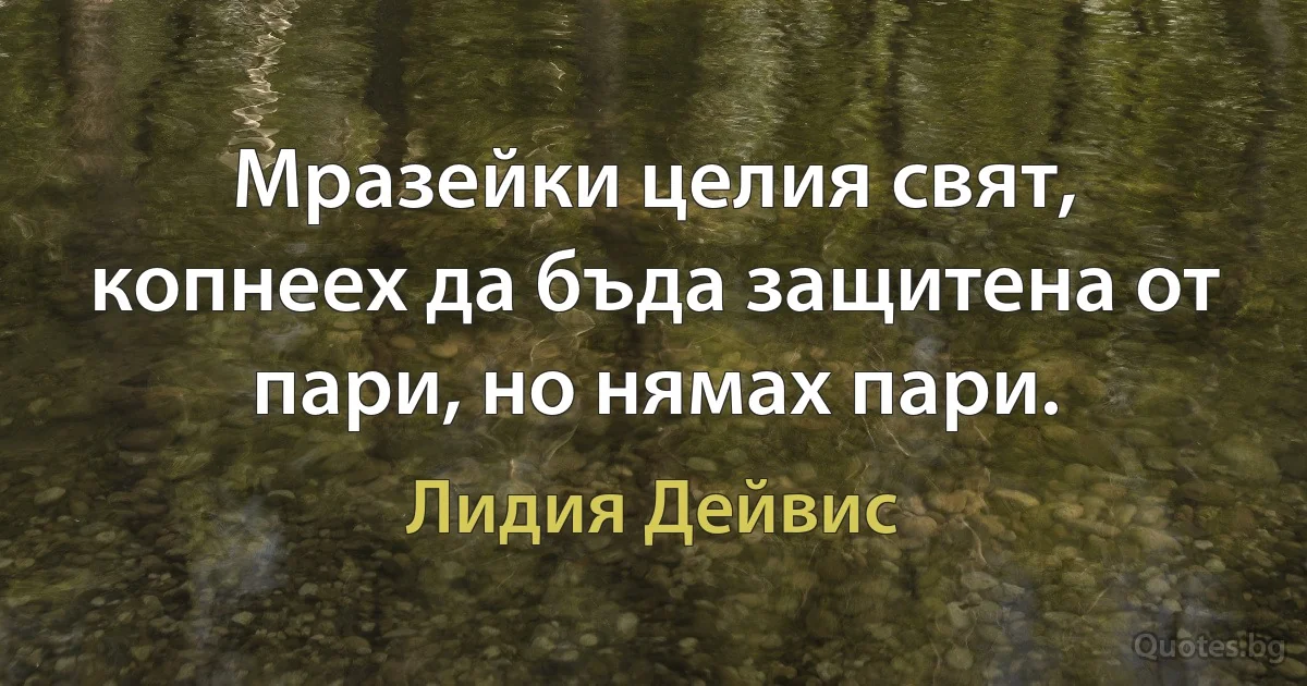 Мразейки целия свят, копнеех да бъда защитена от пари, но нямах пари. (Лидия Дейвис)