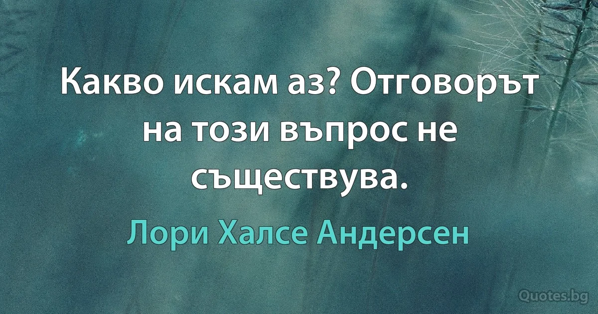 Какво искам аз? Отговорът на този въпрос не съществува. (Лори Халсе Андерсен)