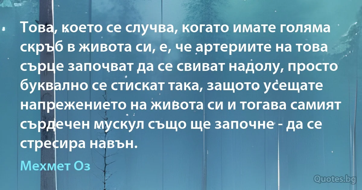 Това, което се случва, когато имате голяма скръб в живота си, е, че артериите на това сърце започват да се свиват надолу, просто буквално се стискат така, защото усещате напрежението на живота си и тогава самият сърдечен мускул също ще започне - да се стресира навън. (Мехмет Оз)