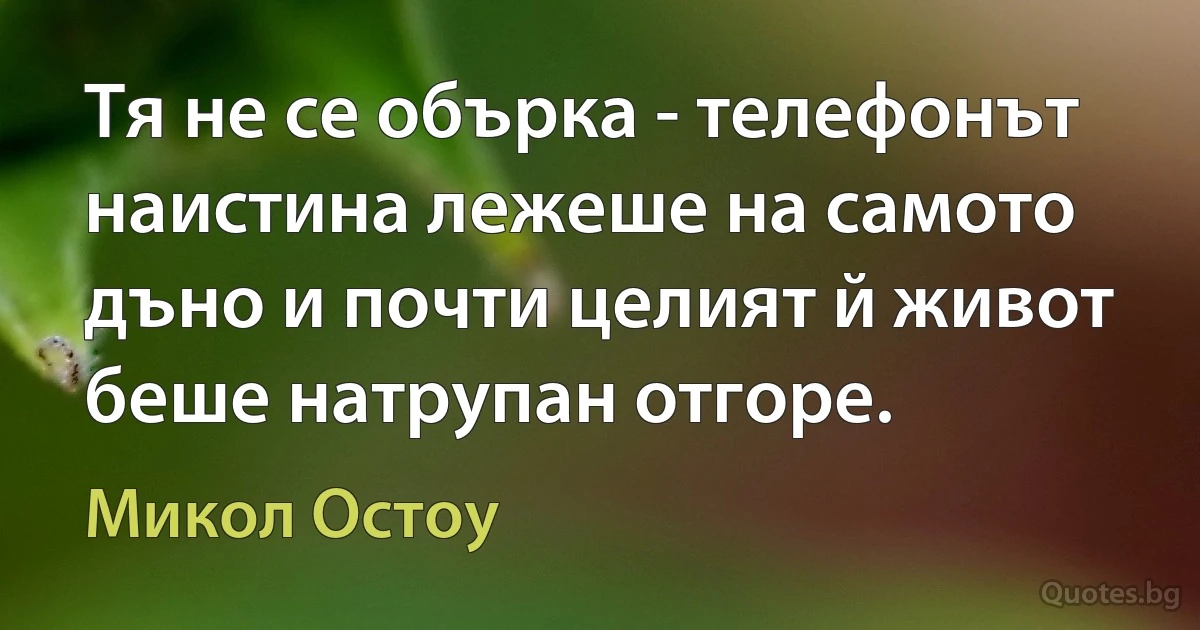 Тя не се обърка - телефонът наистина лежеше на самото дъно и почти целият й живот беше натрупан отгоре. (Микол Остоу)