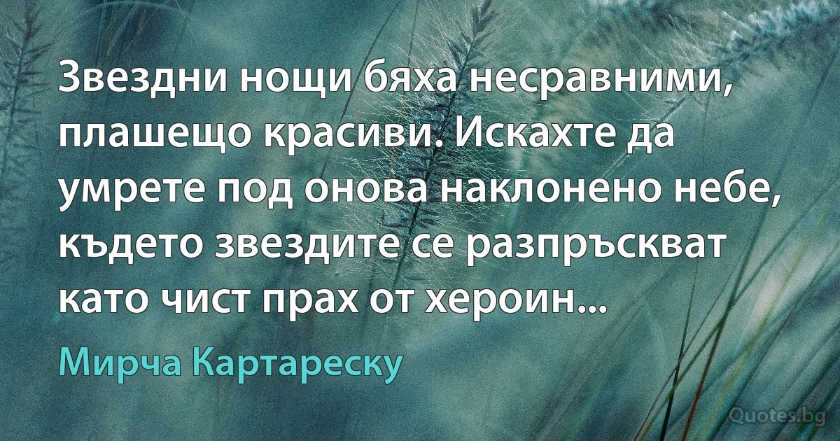 Звездни нощи бяха несравними, плашещо красиви. Искахте да умрете под онова наклонено небе, където звездите се разпръскват като чист прах от хероин... (Мирча Картареску)