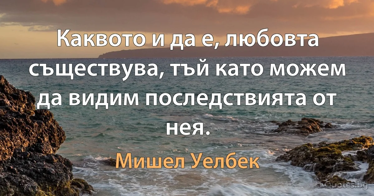 Каквото и да е, любовта съществува, тъй като можем да видим последствията от нея. (Мишел Уелбек)