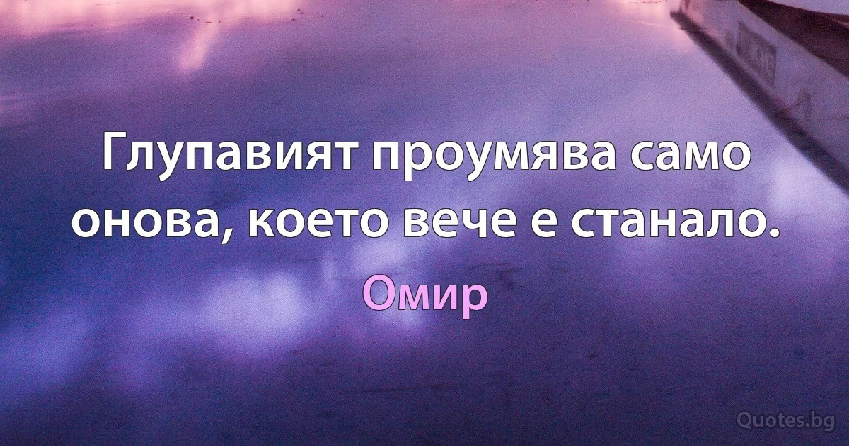 Глупавият проумява само онова, което вече е станало. (Омир)