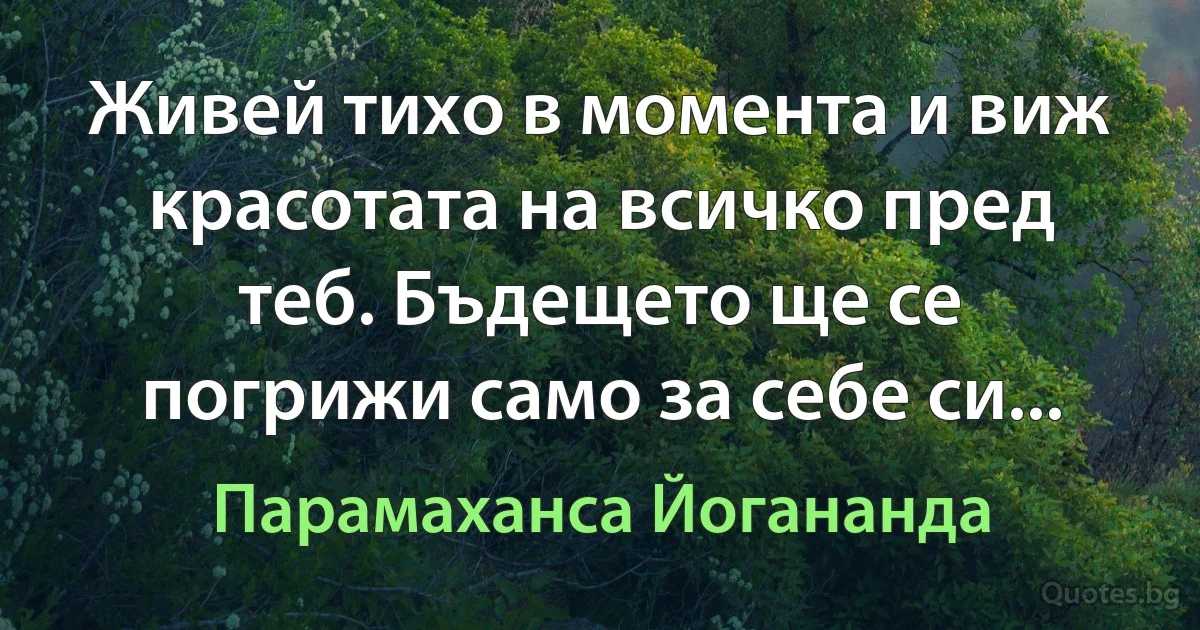 Живей тихо в момента и виж красотата на всичко пред теб. Бъдещето ще се погрижи само за себе си... (Парамаханса Йогананда)