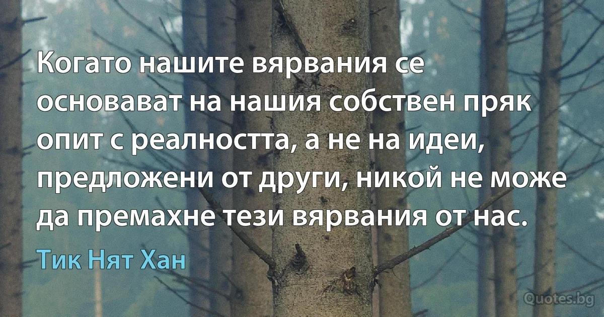 Когато нашите вярвания се основават на нашия собствен пряк опит с реалността, а не на идеи, предложени от други, никой не може да премахне тези вярвания от нас. (Тик Нят Хан)