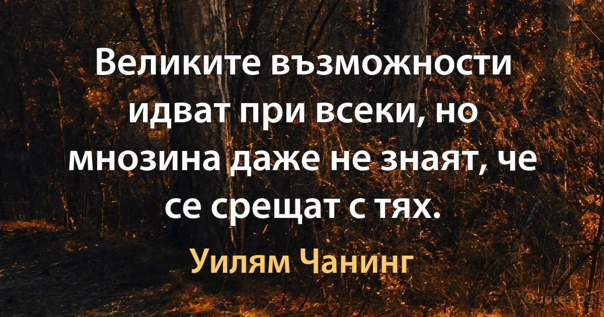 Великите възможности идват при всеки, но мнозина даже не знаят, че се срещат с тях. (Уилям Чанинг)