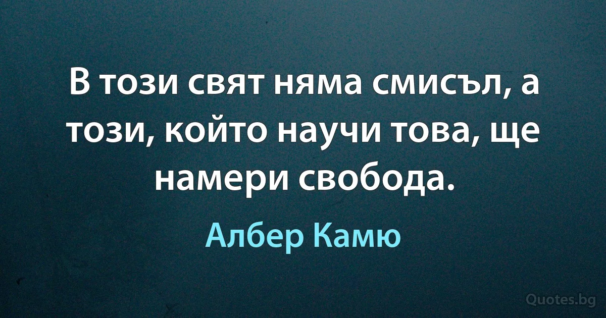 В този свят няма смисъл, а този, който научи това, ще намери свобода. (Албер Камю)