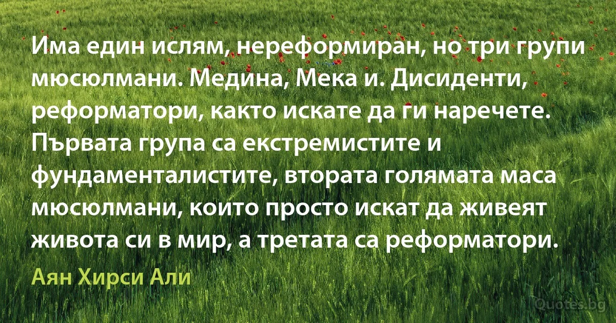 Има един ислям, нереформиран, но три групи мюсюлмани. Медина, Мека и. Дисиденти, реформатори, както искате да ги наречете. Първата група са екстремистите и фундаменталистите, втората голямата маса мюсюлмани, които просто искат да живеят живота си в мир, а третата са реформатори. (Аян Хирси Али)