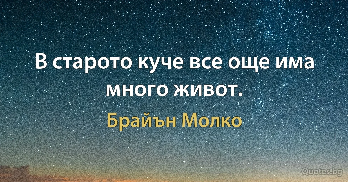 В старото куче все още има много живот. (Брайън Молко)