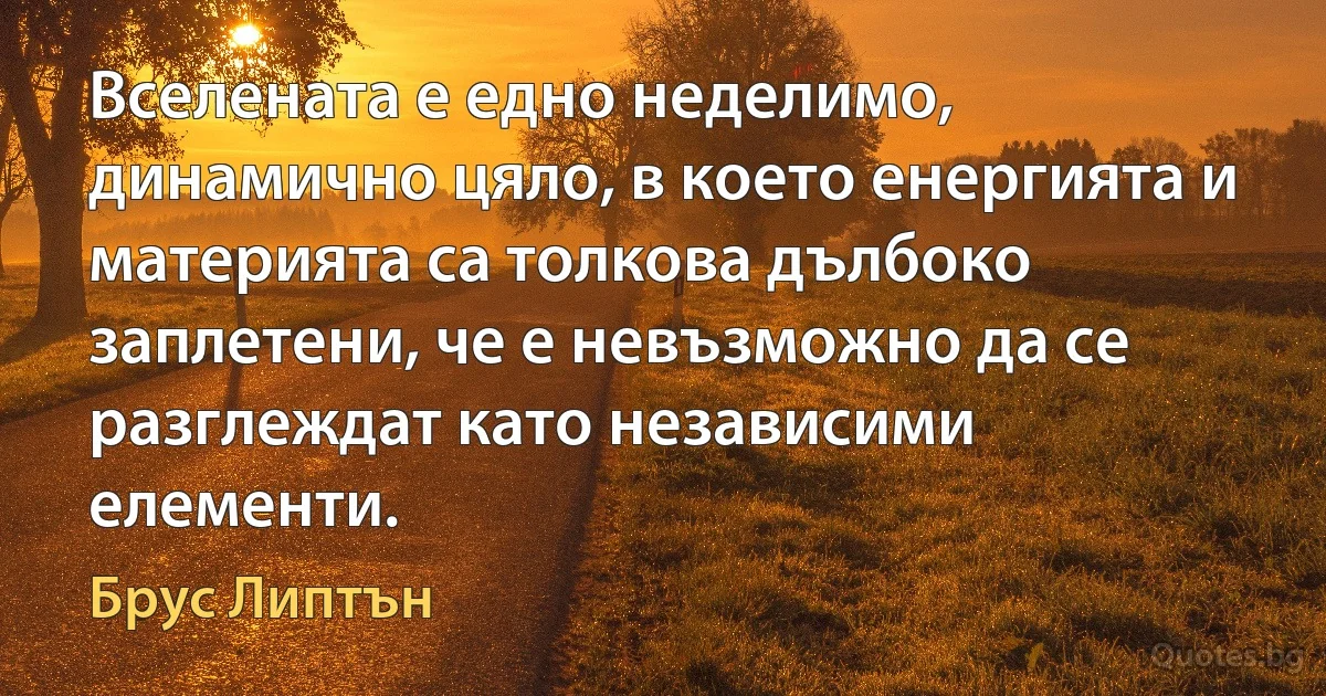 Вселената е едно неделимо, динамично цяло, в което енергията и материята са толкова дълбоко заплетени, че е невъзможно да се разглеждат като независими елементи. (Брус Липтън)