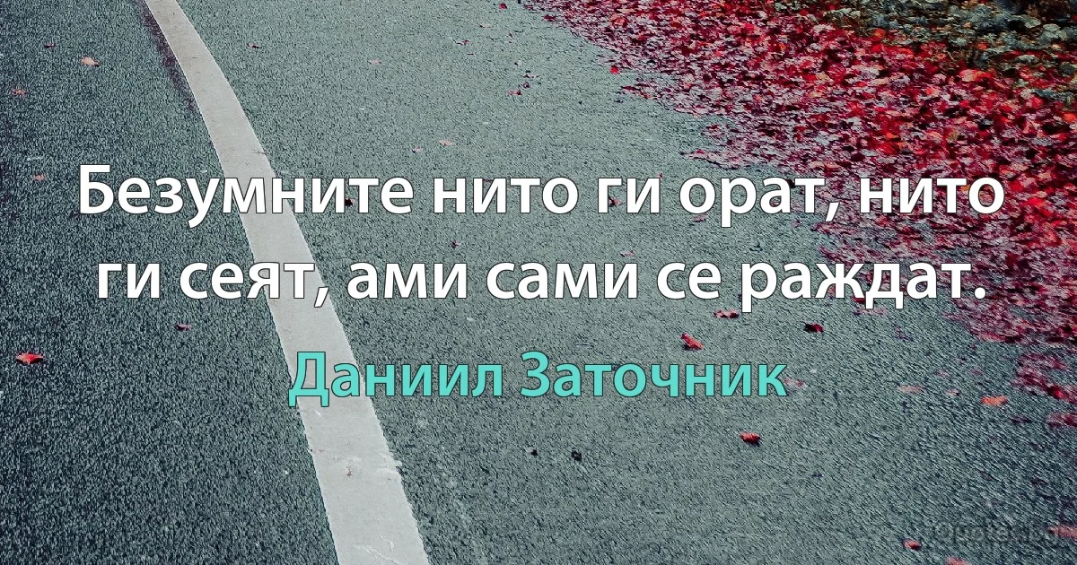 Безумните нито ги орат, нито ги сеят, ами сами се раждат. (Даниил Заточник)