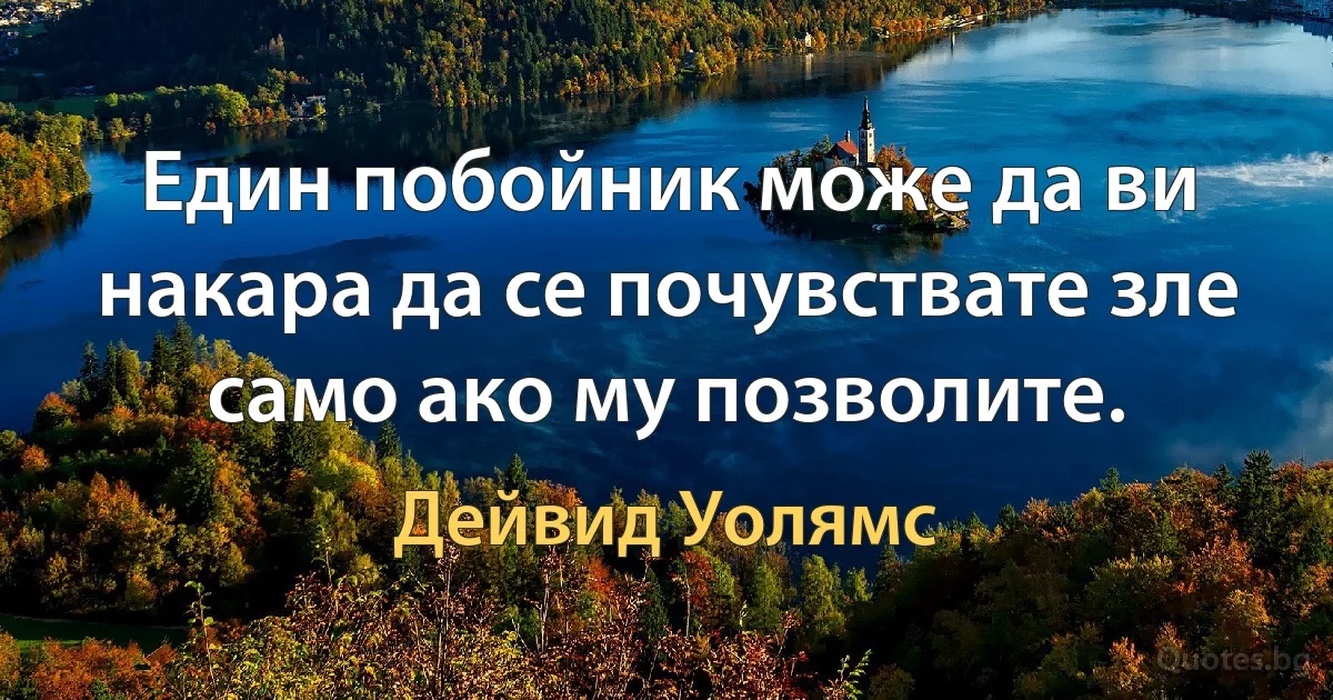 Един побойник може да ви накара да се почувствате зле само ако му позволите. (Дейвид Уолямс)