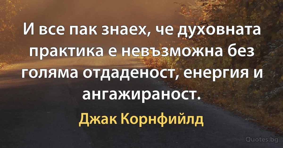 И все пак знаех, че духовната практика е невъзможна без голяма отдаденост, енергия и ангажираност. (Джак Корнфийлд)