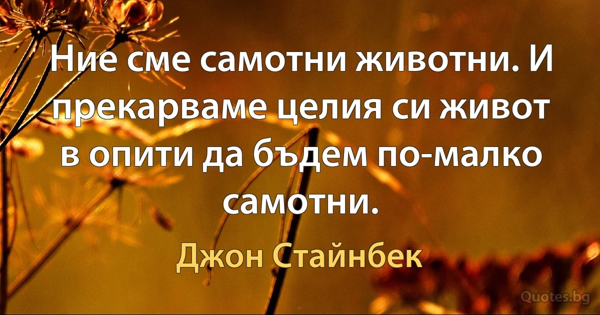 Ние сме самотни животни. И прекарваме целия си живот в опити да бъдем по-малко самотни. (Джон Стайнбек)